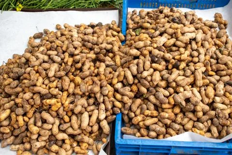 Fresh raw peanuts with shells displayed in bulk at Alcalde Market in Guadalajara Stock Photos