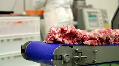 Fresh Raw Pork Chops in Meat Processing Plant Video stock 84713185