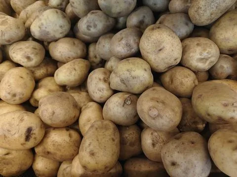 Fresh raw potatoes background. Stock Photos