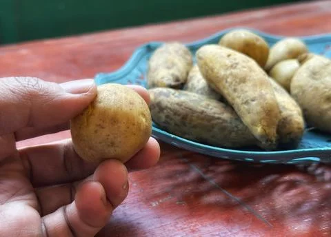 Fresh raw potatoes stack Stock Photos