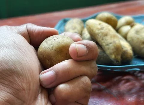 Fresh raw potatoes stack Stock Photos