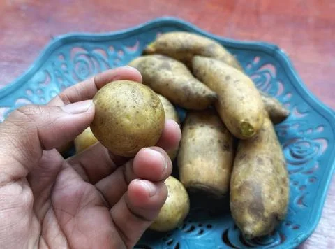 Fresh raw potatoes stack Stock Photos