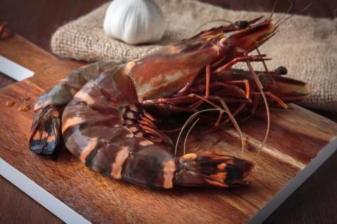 Fresh raw prawns Stock-Fotos