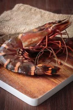 Fresh raw prawns Stock Photos
