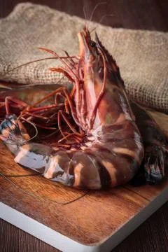 Fresh raw prawns Stock Photos