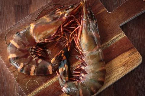 Fresh raw prawns Stock Photos