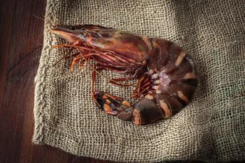 Fresh raw prawns Stock Photos