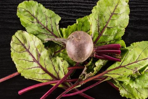 Fresh raw red beetroot on black wood Stock Photos