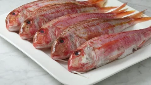 Fresh raw red mullets on a plate close up Stock Footage 172142118
