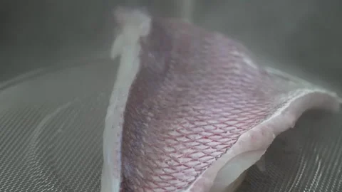 Fresh Raw Red Snapper Fish Fillet with Skin On Close-up Stock Footage 333495650