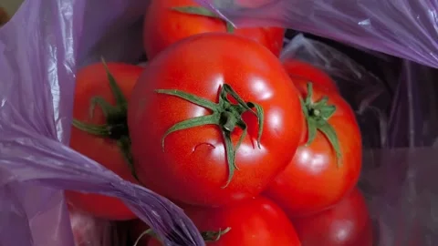 Fresh raw red tomatoes with green twigs and leaves in a plastic bag. Buying Video stock 316664209