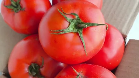 Fresh raw red tomatoes with green twigs and leaves in a cardboard box close-up Stock Footage 316664259