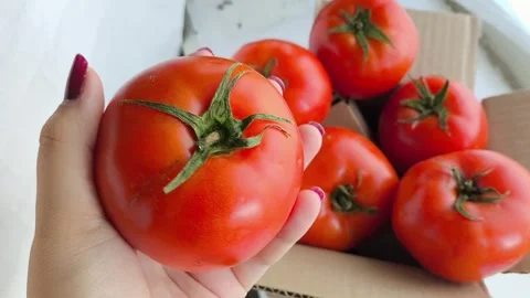 Fresh raw red tomatoes with green twigs and leaves in a cardboard box close-up Stock Footage 316664632