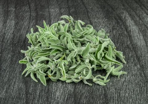 Fresh raw sage branches and leafs on grey background. Green sage herb for tea Stock Photos