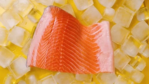 Fresh Raw Salmon Fillet Falling onto Ice Cubes on Yellow Background Slow Motion Stock Footage 292564573