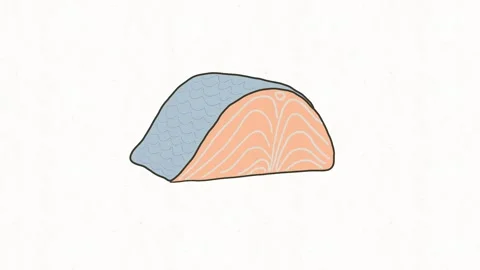 Fresh Raw Salmon Fillet Slice Hand Drawn Food Animation Stock Footage 338000086