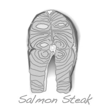 Fresh Raw Salmon vector Stock Illustration