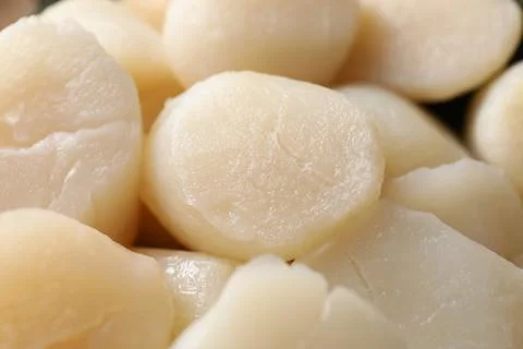 Fresh raw scallops as background, closeup view 库存照片