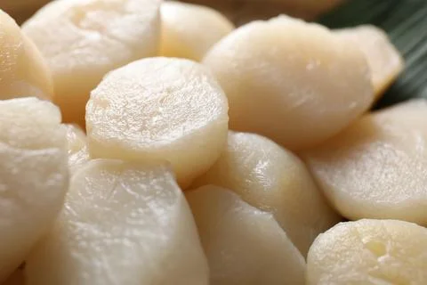 Fresh raw scallops as background, closeup view Foto stock