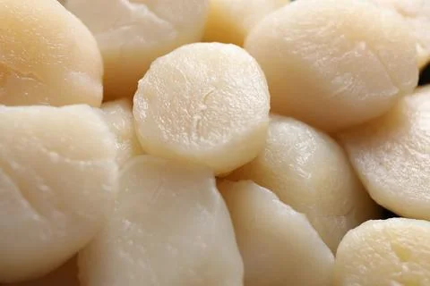 Fresh raw scallops as background, closeup view Foto stock