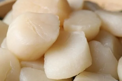 Fresh raw scallops as background, closeup view Foto stock