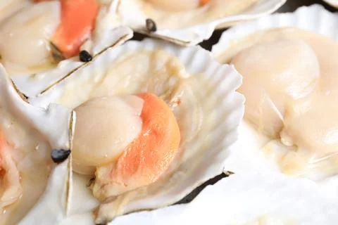 Fresh raw scallops in shells as background, closeup Stock Photos