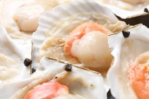 Fresh raw scallops in shells as background, closeup Stock Photos