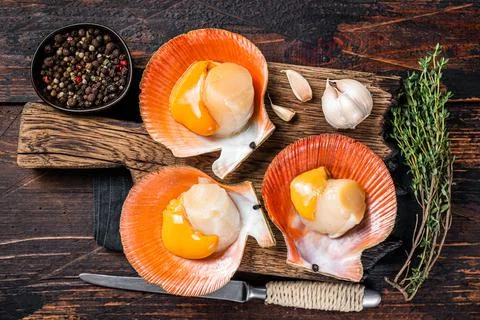 Fresh raw Scallops in shells on a rustic wooden board with thyme. Dark wooden Stock Photos