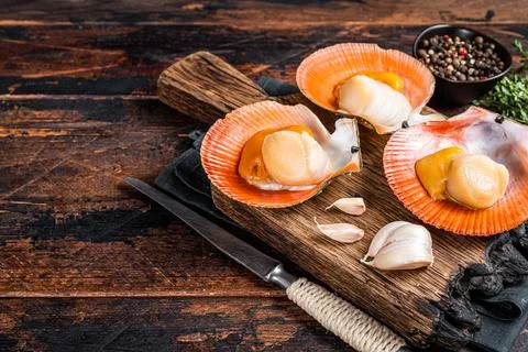 Fresh raw Scallops in shells on a rustic wooden board with thyme. Dark wooden Stock Photos