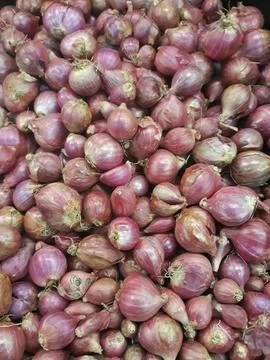 Fresh raw shallots being displayed at Indonesian market for sale Foto stock