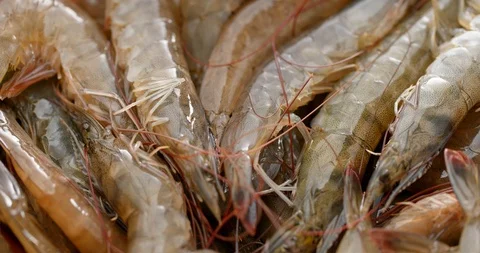 Fresh raw shrimp Stock Footage 106346088