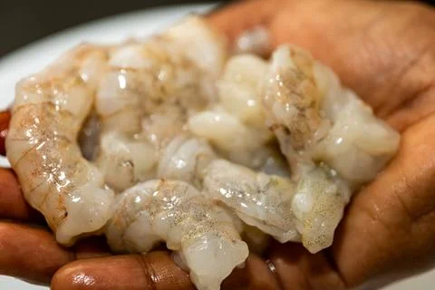 Fresh Raw Shrimp Stock Photos
