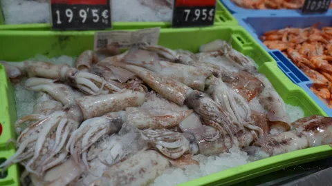 Fresh raw squid and seafood on ice for sale at traditional fish market stal.. Stock Footage 331799484