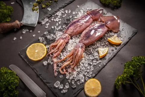 Fresh raw squid Stock Photos