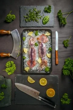 Fresh raw squid Stock Photos