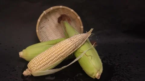 Fresh raw sweet corn cobs sitting on dark surface. 스톡 동영상 336328731