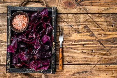 Fresh raw Swiss Ruby or red chard salad Leafs in a wooden tray. wooden Stock Photos