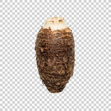 Fresh raw taro root vegetable isolated on transparent background for food d.. Foto stock