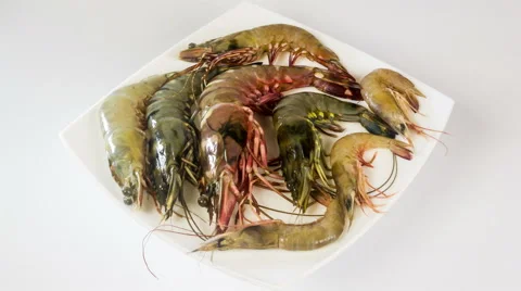 Fresh raw tiger prawns close up rotation on the white plate, white background 4K Video stock 48597357