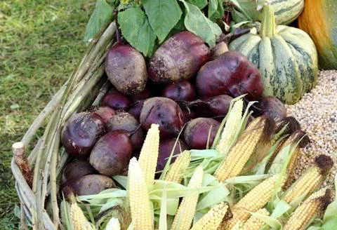 Fresh raw vegetables Stock Photos