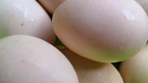 Fresh raw white duck eggs piled in green bowl close up. Stock Footage 325495650