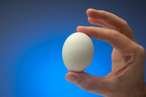 Fresh raw white egg held in hand by Caucasian male. Close up studio shot, iso Fotos de archivo