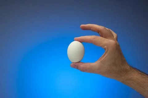 Fresh raw white egg held in hand by Caucasian male. Close up studio shot, iso Stock Photos