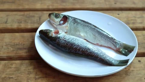 Fresh Raw Whole Fish Cleaned and Prepared on Plate - Top Down View Vídeos de archivo 340559450