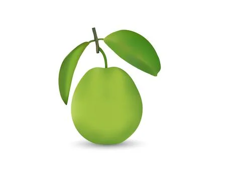 Fresh realistic guava vector image with green leaf Illustrazione stock