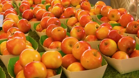 Fresh red and yellow apples at market stall Stock Footage 334656544