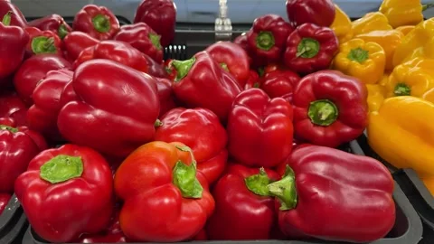 Fresh red and yellow bell peppers with green stems in black crates  스톡 동영상 344041715