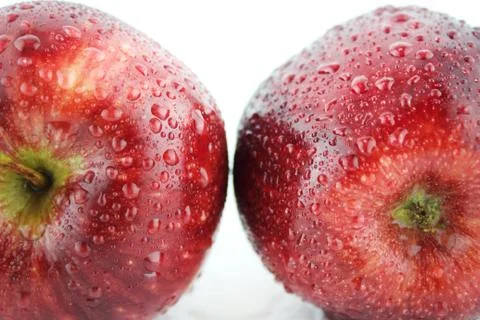 Fresh red apple Stock Photos