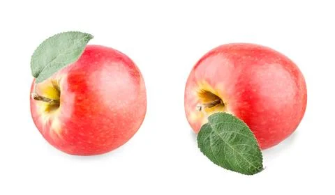 Fresh red apple Stock Photos