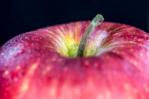 Fresh red apple Stock Photos